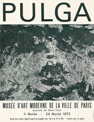 Pulga, Musée d’Art Moderne de la Ville de Paris