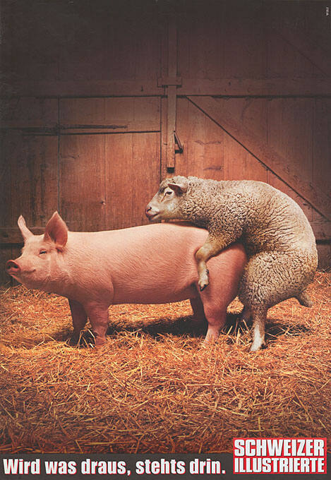 Wird was draus, stehts drin. Schweizer Illustrierte