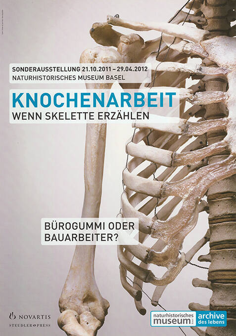 Knochenarbeit, Wenn Skelette erzählen, Bürogummi oder Bauarbeiter? Naturhistorisches Museum Basel