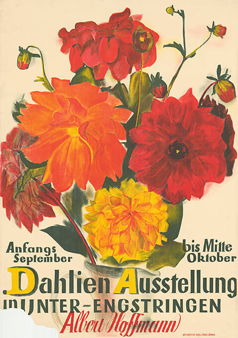 Dahlien Ausstellung in Unter-Engstringen, Albert Hoffmann