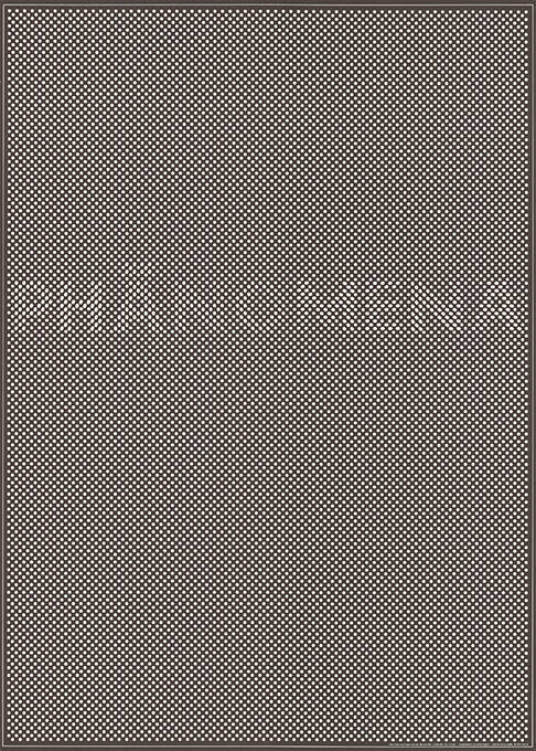 Phänomena