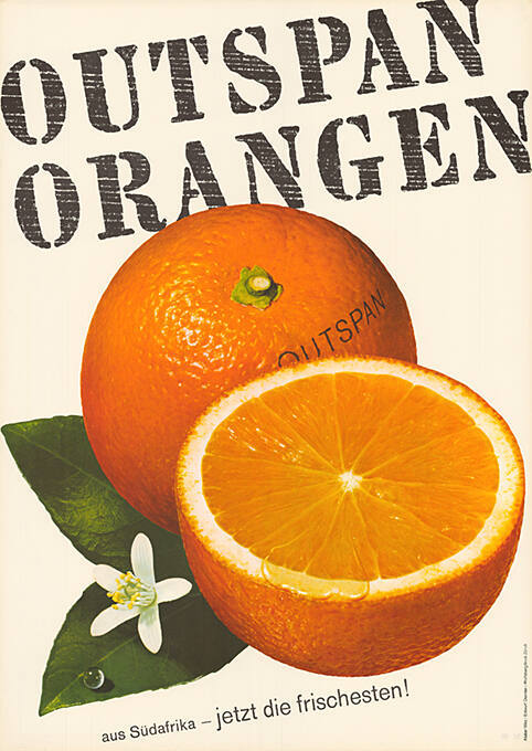 Outspan Orangen