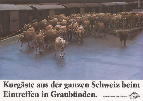 Verkehrsverein für Graubünden, Chur