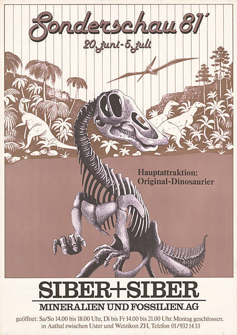Sonderschau 81’, Siber+Siber