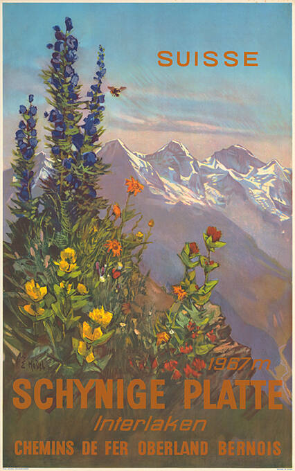 Schynige Platte, Interlaken, Chemins de fer Oberland Bernois