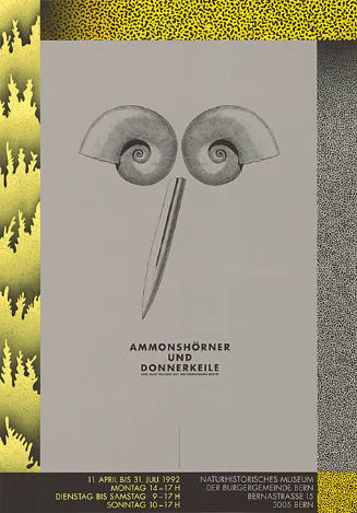 Ammonshörner und Donnerkeile, Naturhistorisches Museum der Burgergemeinde Bern