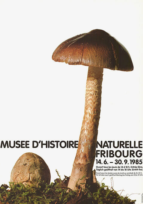 Musée d’histoire Naturelle, Fribourg