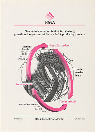 New monoclonal antobodies for studying […], BMA Biomedicals