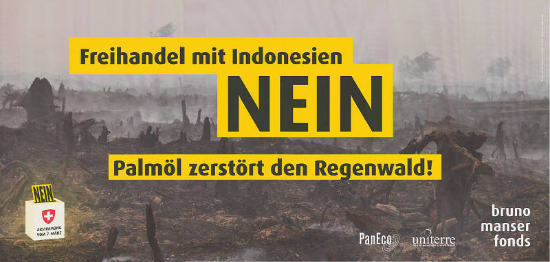 Freihandel mit Indonesien, Nein, Palmöl zerstört den Regenwald!