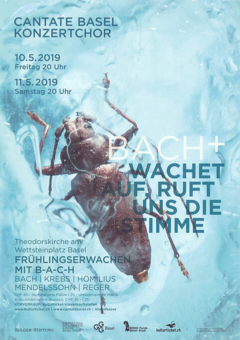 Bach+, Wachet auf, ruft die Stimme, Cantate Basel, Konzertchor, Theodorskirche Basel