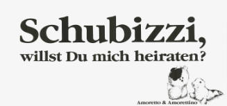 Schubizzi, willst Du mich heiraten? Amoretto & Amorettino