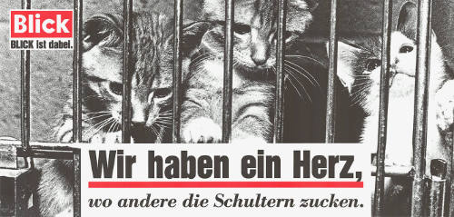 Wir haben ein Herz, wo andere die Schultern zucken. Blick