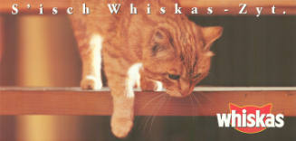 S’isch Whiskas-Zyt.