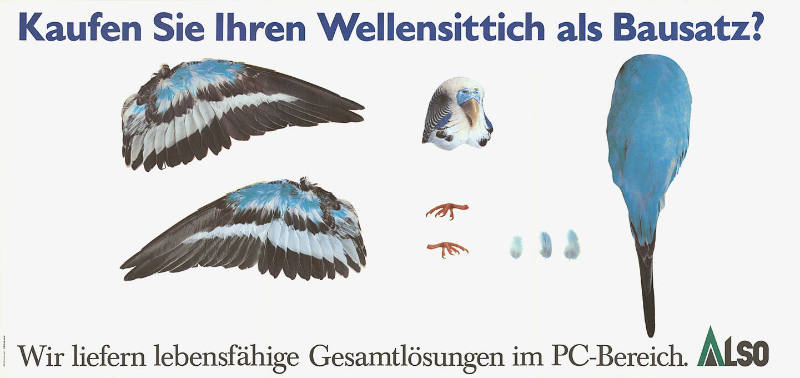 Kaufen Sie Ihren Wellensittich als Bausatz? Wir liefern lebensfähige Gesamtlösungen im PC-Bereich. Also