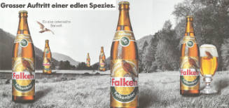 Grosser Auftritt einer edlen Spezies. Falkenbier