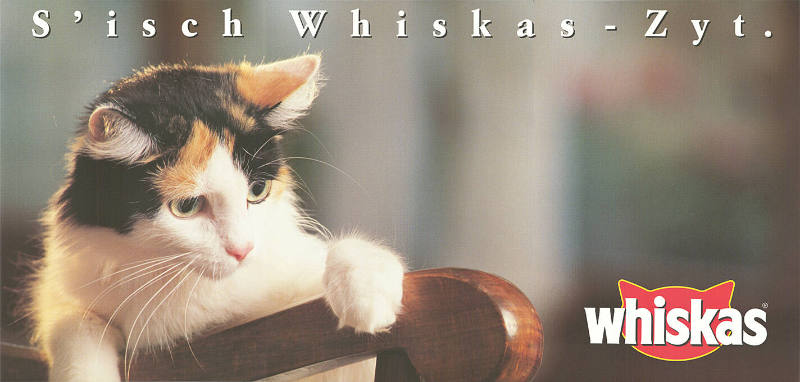 S’isch Whiskas-Zyt.