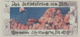 Das Strandleben von SSR, SSR-Reisen, Die Alternative für alle